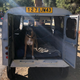 “Ruby” adds one dogpower